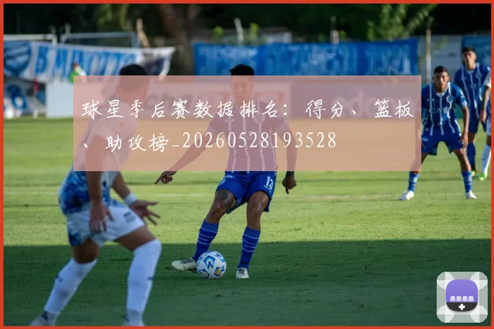 球星季后赛数据排名：得分、篮板、助攻榜_20260528193528