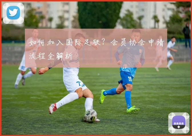 篮球明星的伤病恢复与心理建设